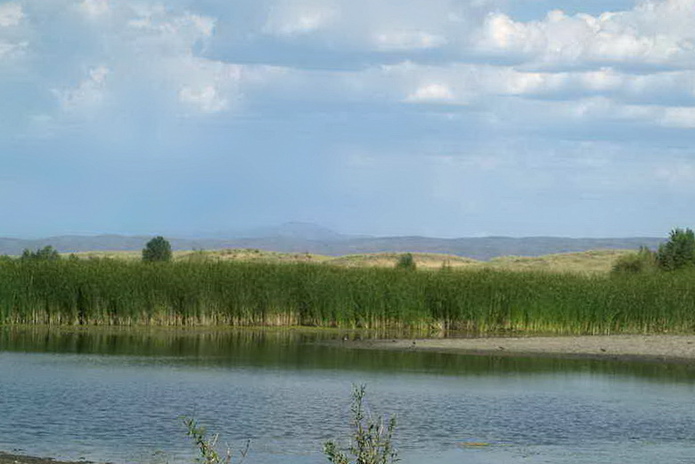 Начало лета ознаменуется дождем