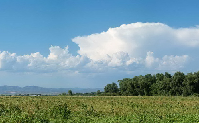 Начало лета ознаменуется дождем
