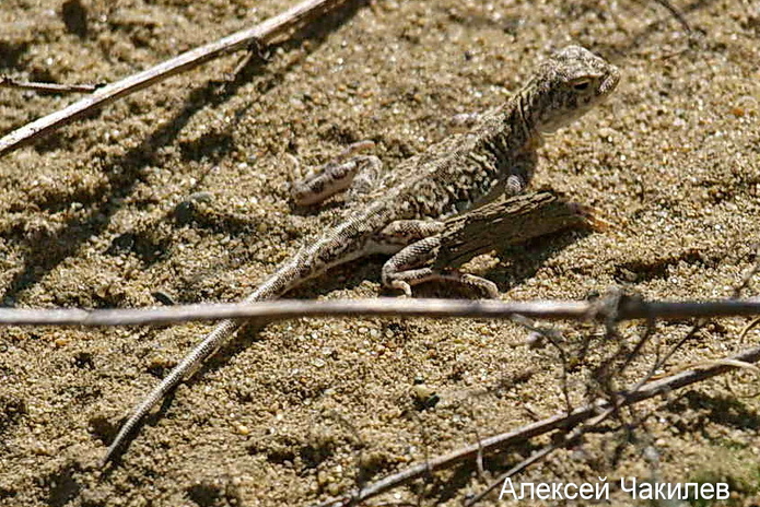 Начало лета ознаменуется дождем