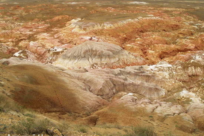 Сегодня стартует ЕНТ