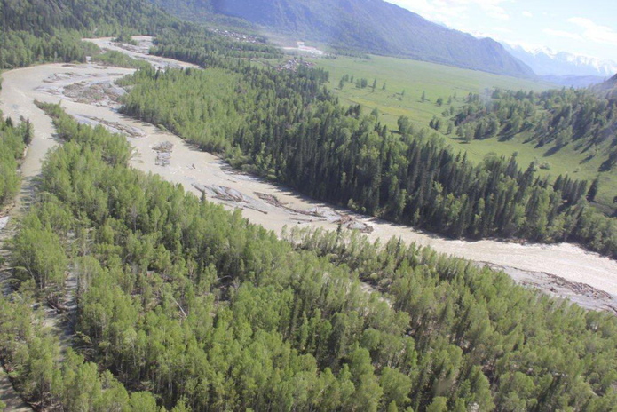 Лучшие в своем деле