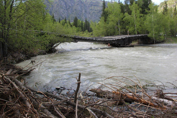 Лучшие в своем деле