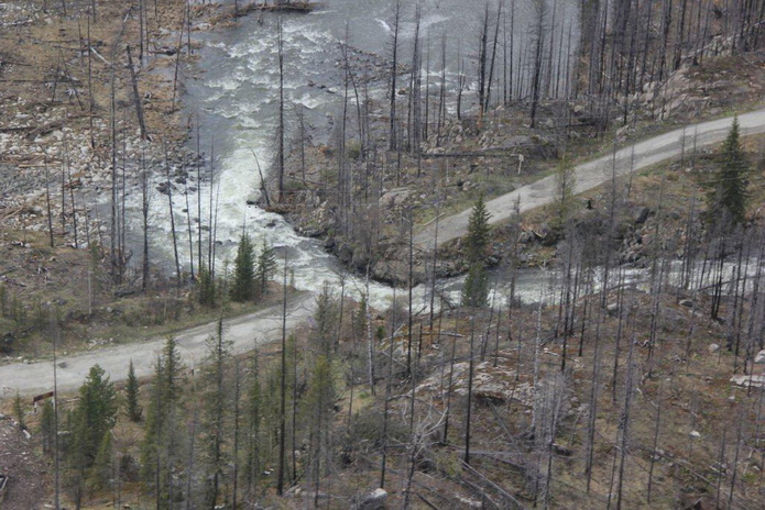Лучшие в своем деле
