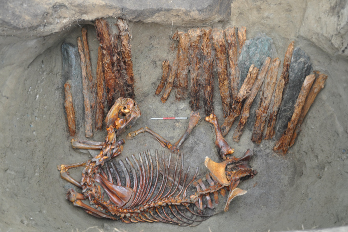 Всё ли в порядке