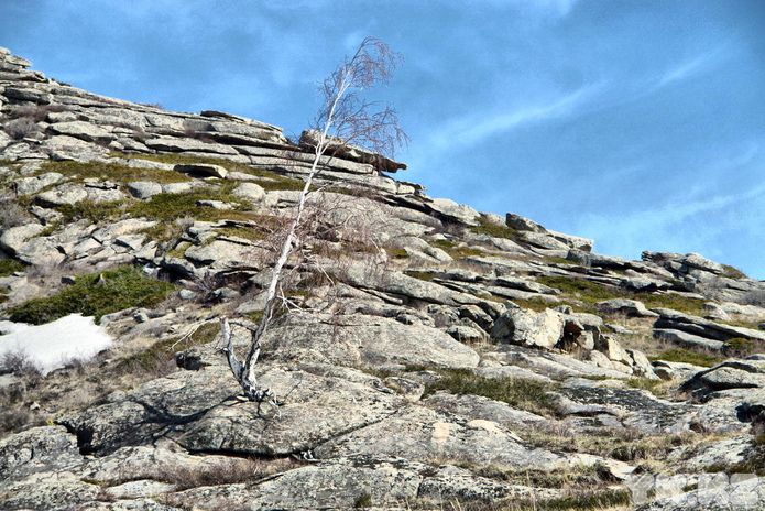 Оснований нет