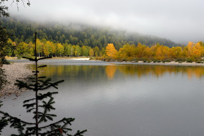 Ничего не закроют