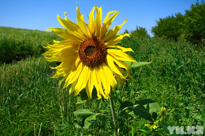 Ничего не закроют