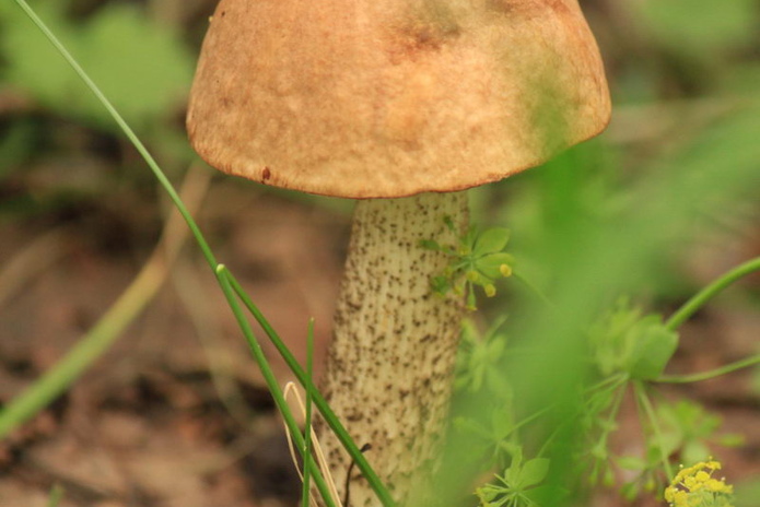 Ничего не закроют