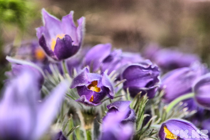 Ничего не закроют