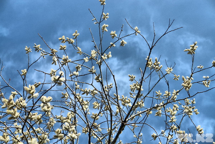 Ничего не закроют