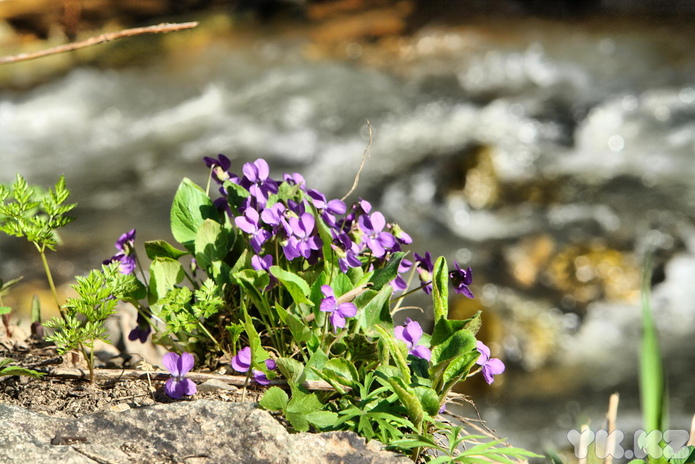 Ничего не закроют