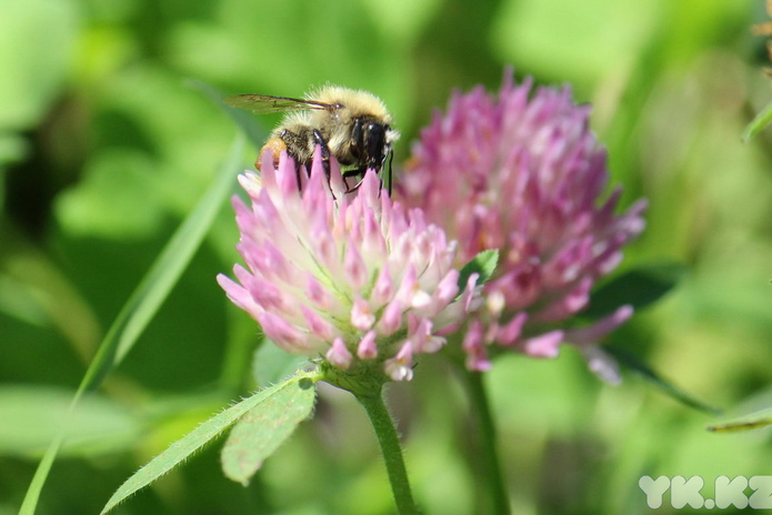 Ничего не закроют
