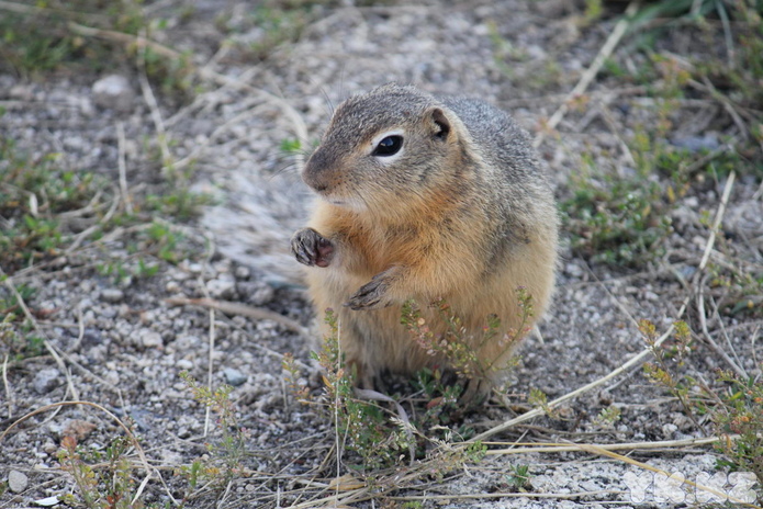 Ничего не закроют