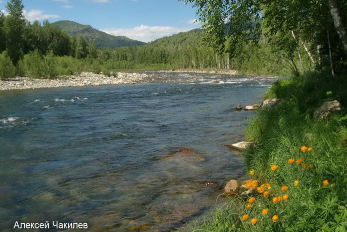 Подарки в аренду
