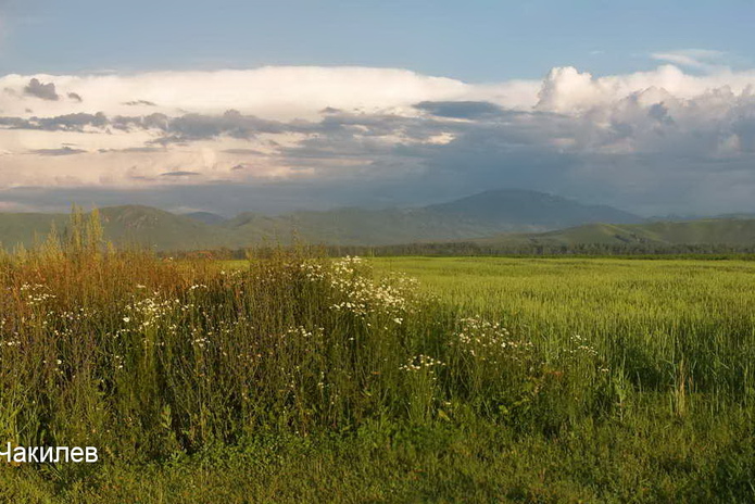 Подарки в аренду