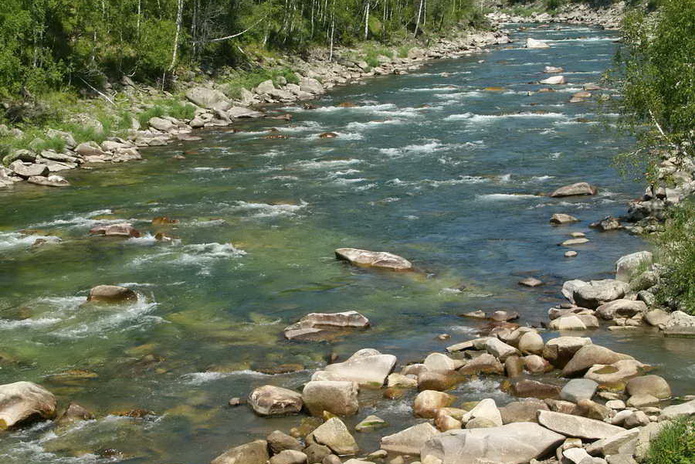 Подарки в аренду