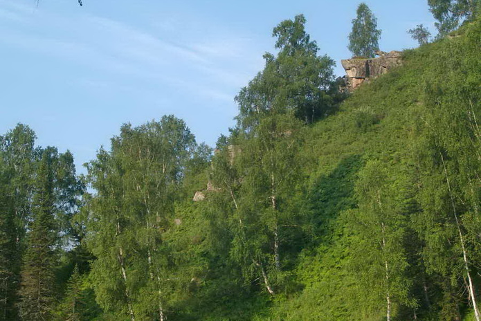 Подарки в аренду