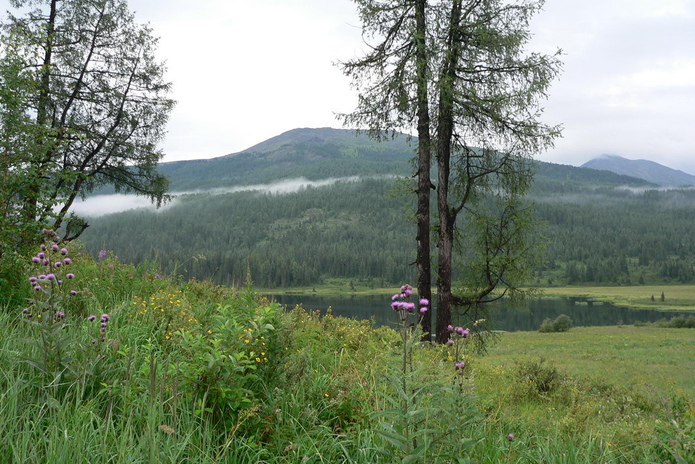 Воду привезут