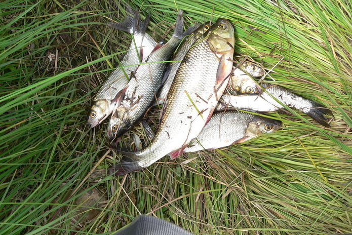 Воду привезут