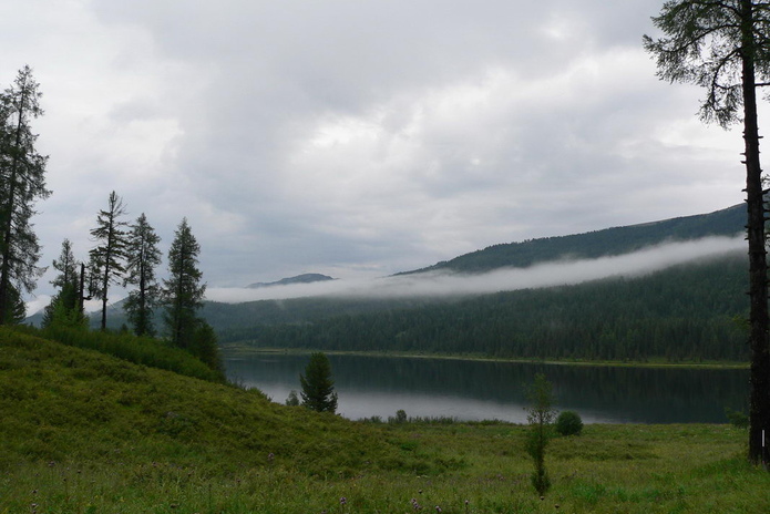 Воду привезут