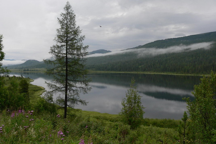 Воду привезут