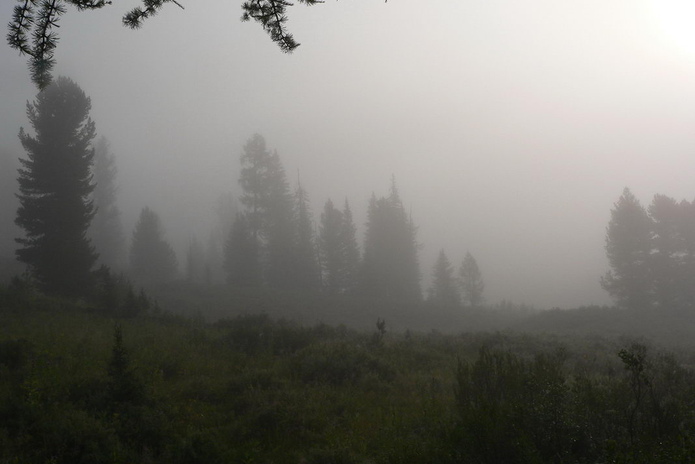 Воду привезут