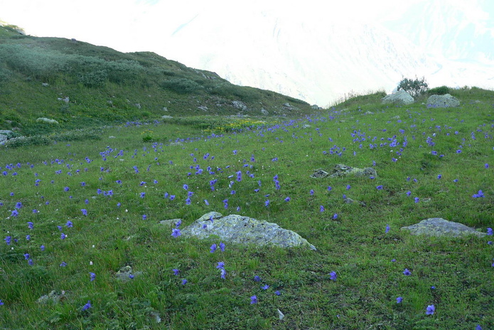 Воду привезут