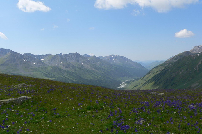 Воду привезут