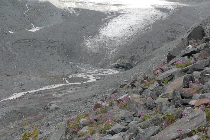 Воду привезут