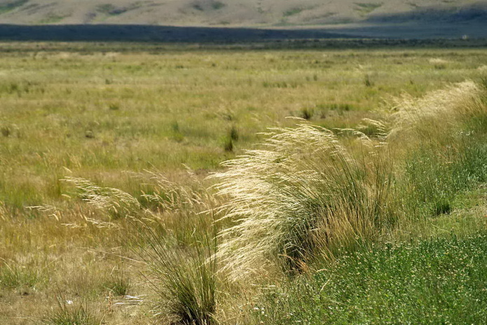Скотину спасали сами