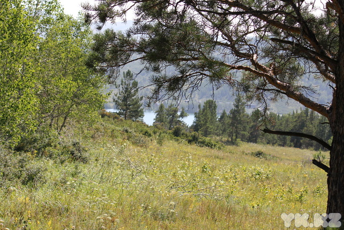 Празднуем День государственных символов