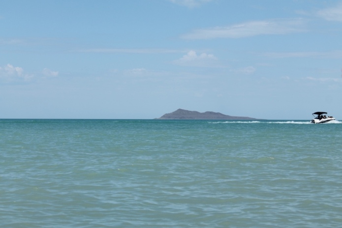 Выросли на 7%