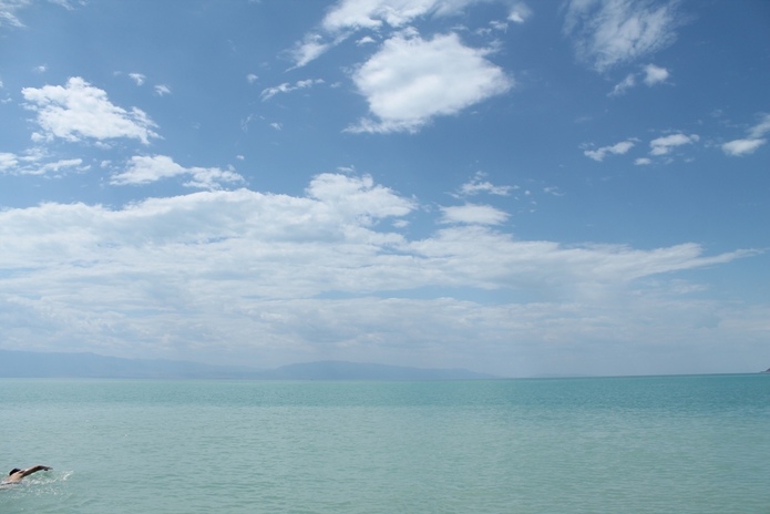 Выросли на 7%