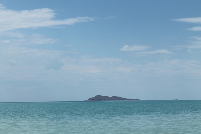 Выросли на 7%