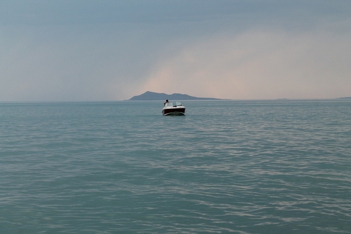 Выросли на 7%