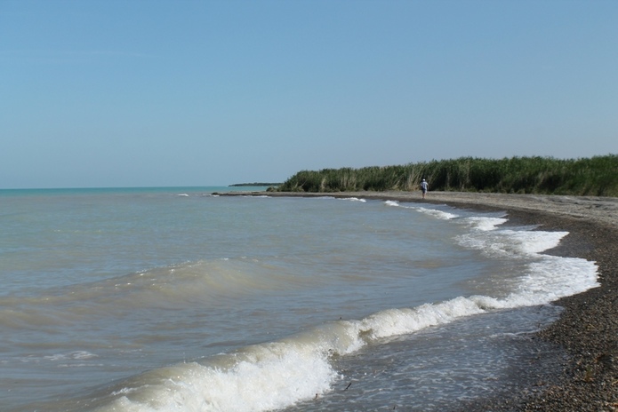 Выросли на 7%