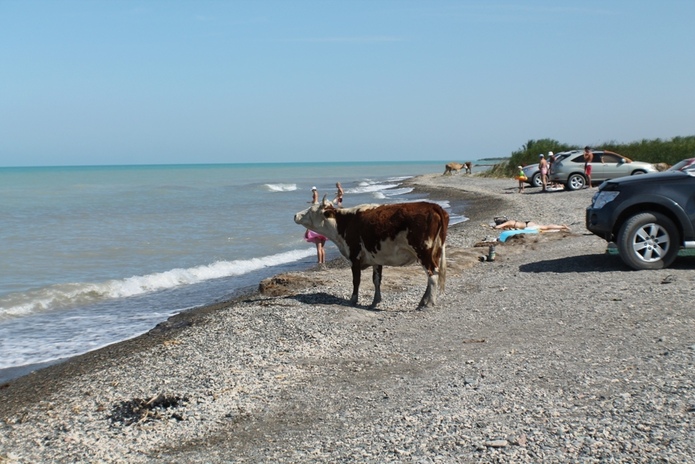 Выросли на 7%