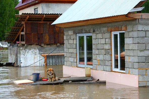 Помощь соседям