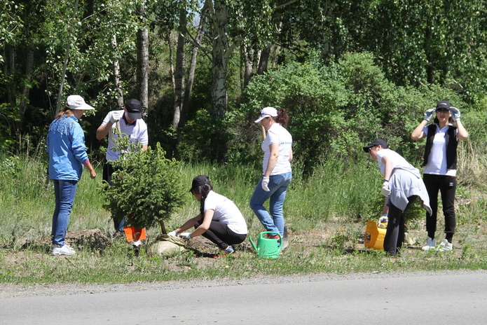 Рахат Алиев арестован
