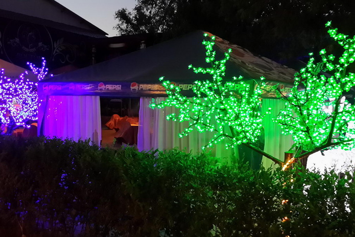 Фестиваль шашлыка и свежего пенного! - PR