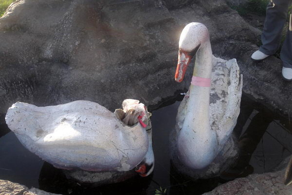 Аллею восстановить