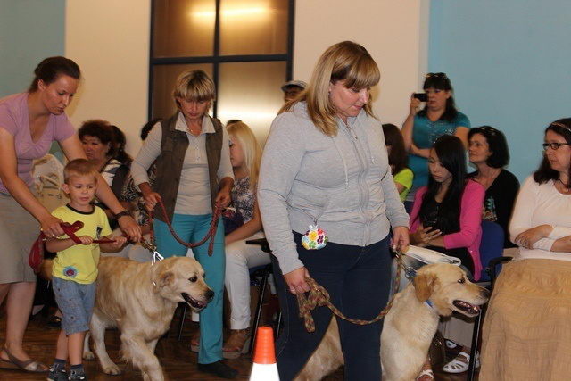 Терапия с собаками