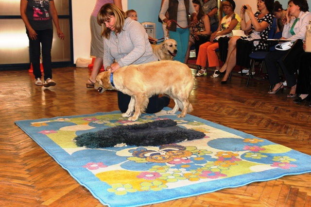 Терапия с собаками