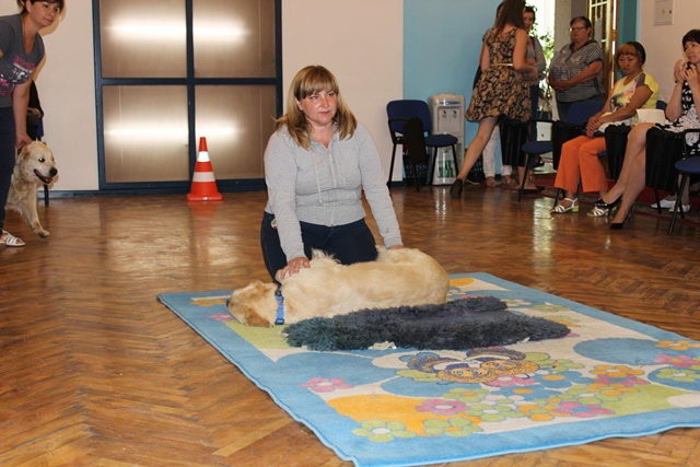 Терапия с собаками