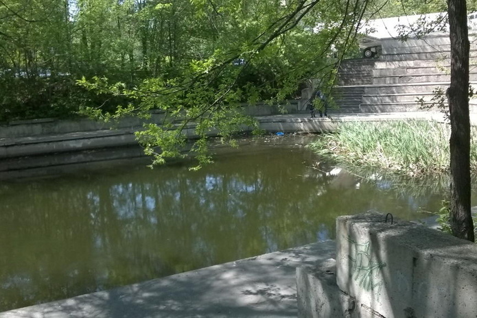 Поганка на Комендантке