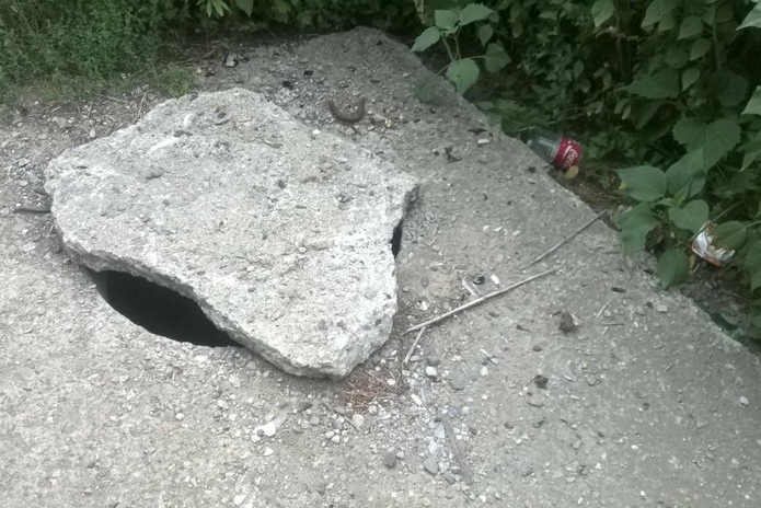 Поганка на Комендантке