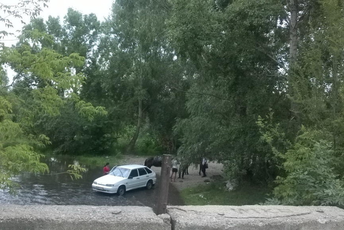 Поганка на Комендантке