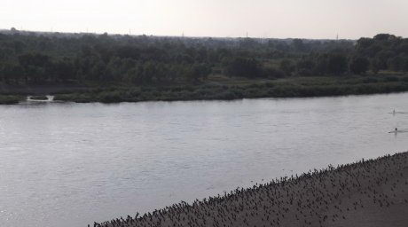 Заполнили берега