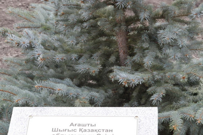 Новый дом Фемиды (+фото)