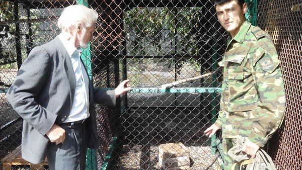 Спасли сапсана